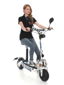 Elektro Scooter mit Straßenzulassung - SXT 500